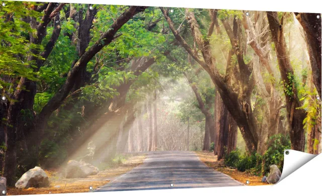 Gards Tuinposter Weg Omringd met Bomen - 180x90 cm - Tuindoek - Tuindecoratie - Wanddecoratie buiten - Tuinschilderij Multikleur