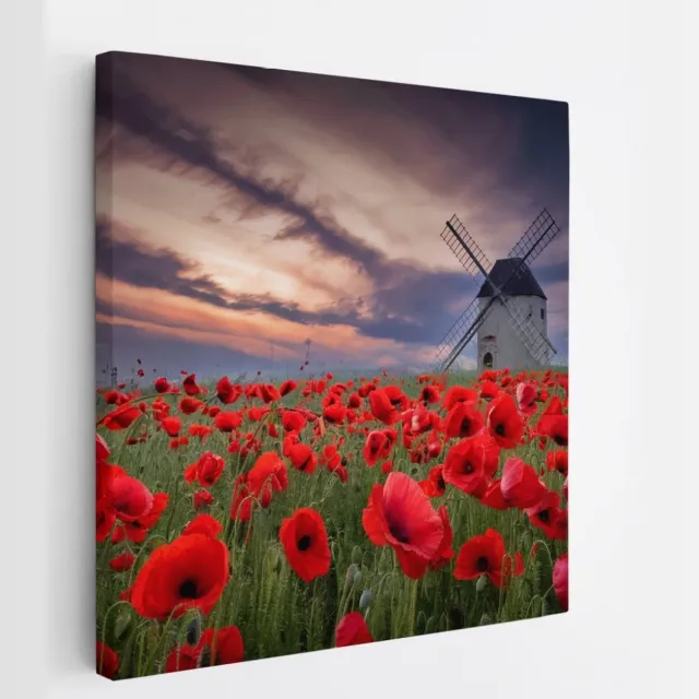 Saammp Canvas Schilderij - Klaprozen met molen - Bloemen - Landschap - Natuur - 30x30 - Foto op canvas - Wanddecoratie - Muurdecoratie Woonkamer - Slaapkamer decoratie - Canvas Print Multicolor