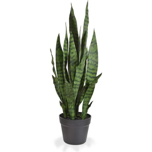 maxifleur Kunstplanten Sanseveria kunstplant N 70cm - groen