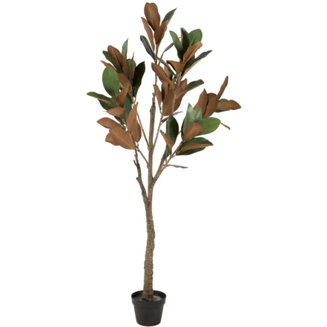 Light & Living Light&living Kunstboom Ø55x150 cm MAGNOLIA groen+bruin
