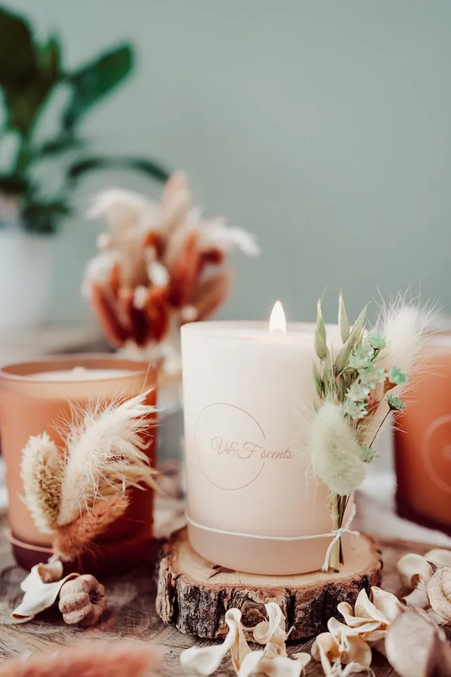 V&F Scents geurkaars 1 lont Forest - 50 branduren peach