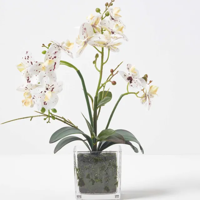 Homescapes Kunstwitte Phalaenopsis Orchidee in Glazen Pot 42 cm