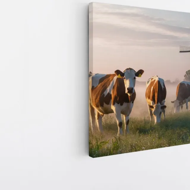 Saammp Canvas Schilderij - Groep koeien in de mist - Natuur - Dieren - 60x60 - Foto op canvas - Wanddecoratie - Muurdecoratie Woonkamer - Slaapkamer decoratie - Canvas Print Multicolor