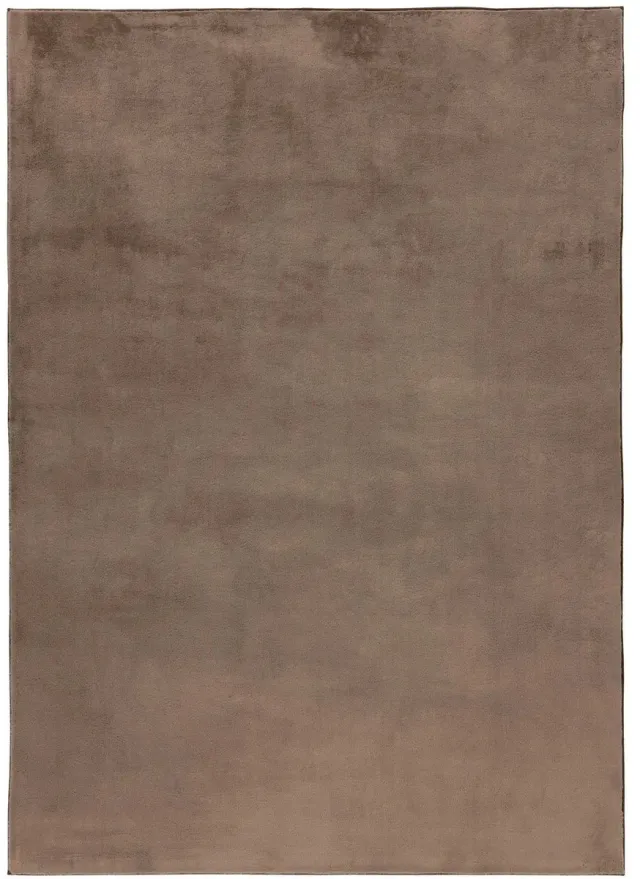 Dutch XXL Wasbaar Vloerkleed | Tapijt | Loft | Uni | Taupe | 200x290 cm