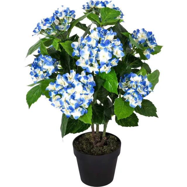 Homescapes kunstplant blauw 'hortensia' in pot, 70 cm Blauw-Wit