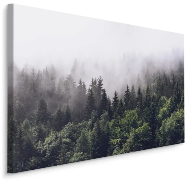 karo-art Schilderij - Mistig in de bergen, groen/grijs, 4 maten, premium print Multikleur