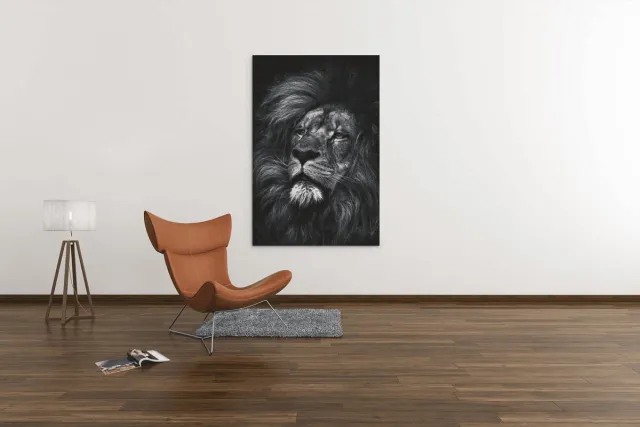 Trendex Global Canvas Schilderij - Wilde Dieren - Leeuw - Grijs - Portret - 150x100x2 cm Zwart