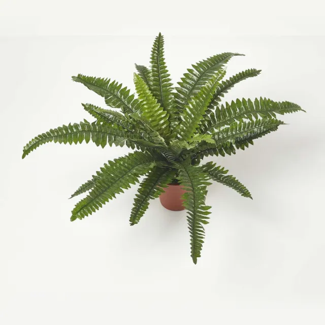 Homescapes kunstplant Nephrolepis Exaltata, kunstzwaardvaren in pot, 45 cm hoog Groen