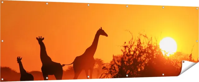 Gards Tuinposter Drie Giraffe Silhouetten bij Zonsondergang - 210x70 cm - Tuindoek - Tuindecoratie - Wanddecoratie buiten - Tuinschilderij Multikleur