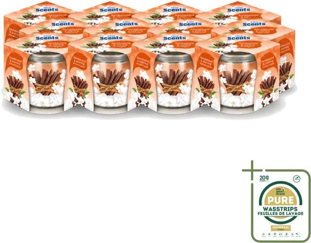 At Home 12 x At Home - Scents - Geurkaars - Sandalwood & Jasmin - 70 g - Wasstrips - Geurkaars - Sandelhout - Jasmijn - Thuisgeur - Rustgevende Geur Bruin