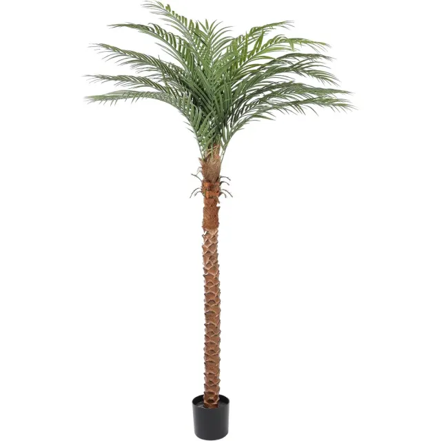 Kunstpalm Cuba – 190 cm – Tropische Palm met Dikke Stam – Kunstplant hoog - Vol bladerdak Donkergroen