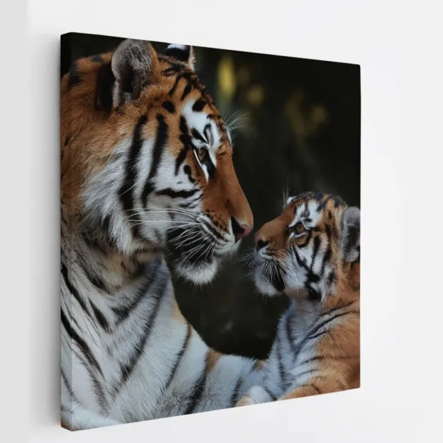 Saammp Canvas Schilderij - Tijger met welp - Natuur - Dieren - 30x30 - Foto op canvas - Wanddecoratie - muurdecoratie Woonkamer - Slaapkamer decoratie - Canvas Print Multicolor