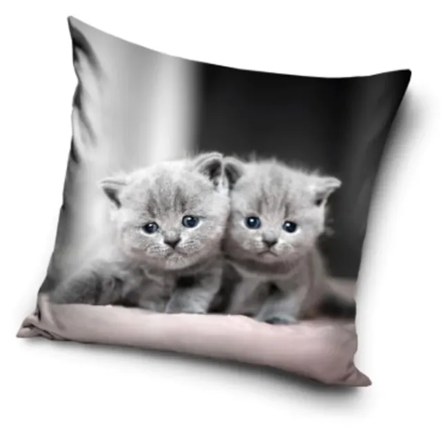 Cat Twins decoratieve kussenhoes 40x40 cm Velvet grijs