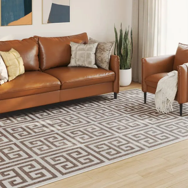 vidaXL Vloerkleed voor binnen buiten laagpolig 190x300 cm meerkleurig bruin, foto 2