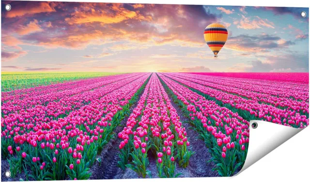 Gards Tuinposter Bloemenveld met Roze Tulpen - Luchtballon - 100x50 cm - Tuindoek - Tuindecoratie - Wanddecoratie buiten - Tuinschilderij Multikleur