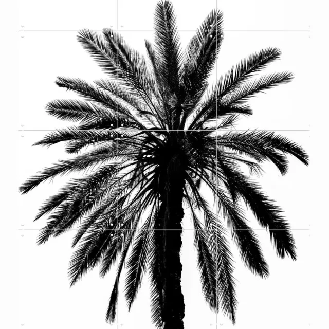IXXI Palm in Palermo, Photolovers - 60 x 80 cm - Grote wanddecoratie en posters - Minimalisme, Fotografie, Woonkamer, Slaapkamer, Tropisch, Natuur Zwart / Rustig / Lichte tinten / Monochroom / Zwart en wit