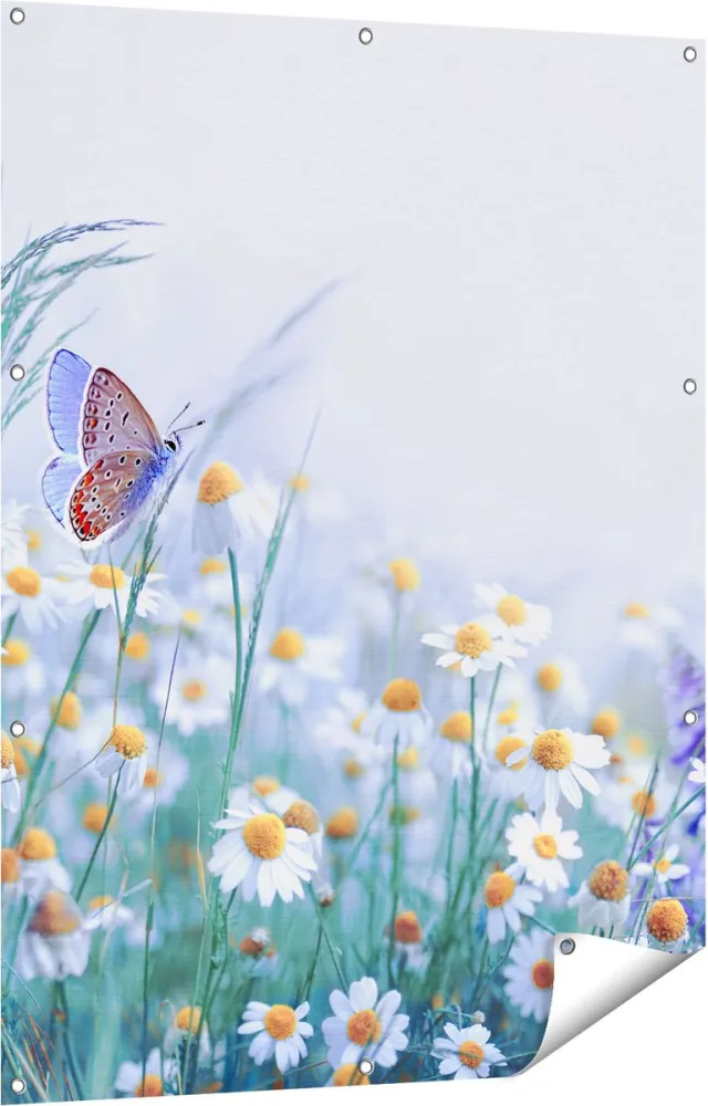 Gards Tuinposter Witte Kamille Bloemen met een Vlinder - 90x120 cm - Tuindoek - Tuindecoratie - Wanddecoratie buiten - Tuinschilderij Multikleur