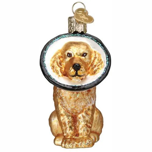 Old World Christmas Kerstbal Hond met Kap – Cone of Shame – Glas – Old World Christmas Goud