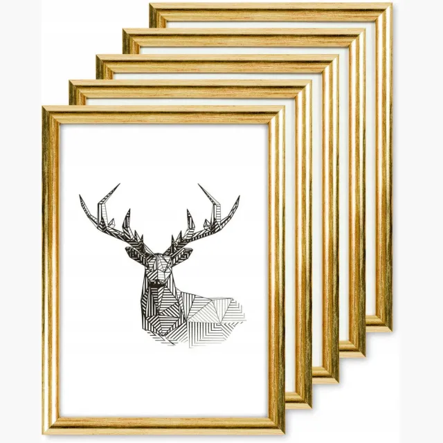 Luca Houten Fotolijst Set 5 stuks Goud 10x15 cm
