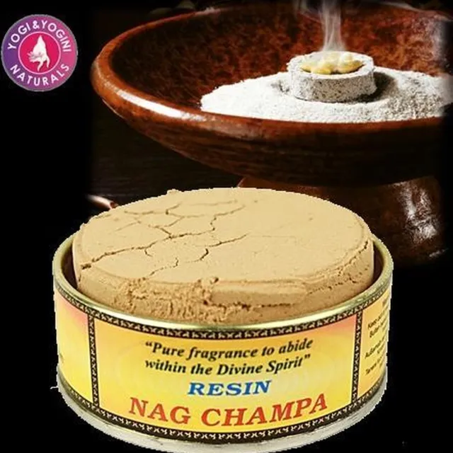 Phoenix Import Mani Bhadra Wierookhars Nag Champa wit