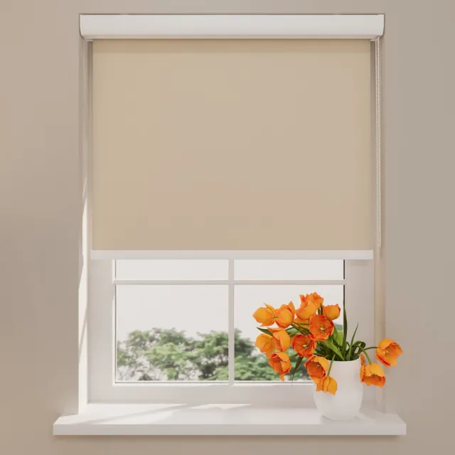 DTCH Rolgordijn Cassette Pure - Verduisterend - Sand - 120 x 175 cm