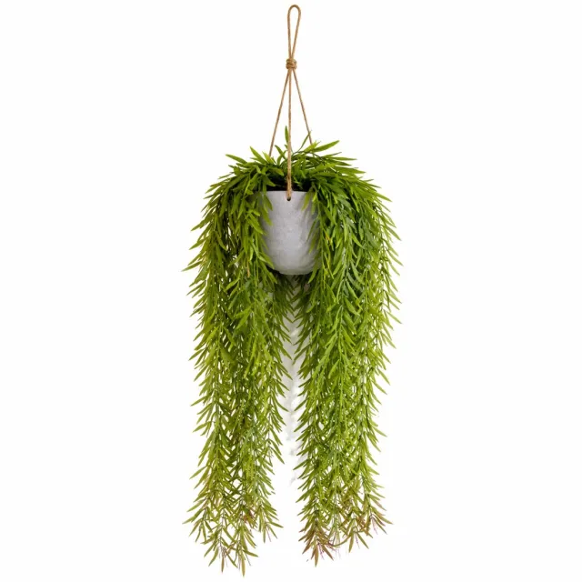 HEM Kunsthangplant Wilg 66 cm – Groene Hangplant Kunst – Realistische Kunstplant met Pot – Onderhoudsvrij – Hangende Kamerplant voor Binnen Decoratie