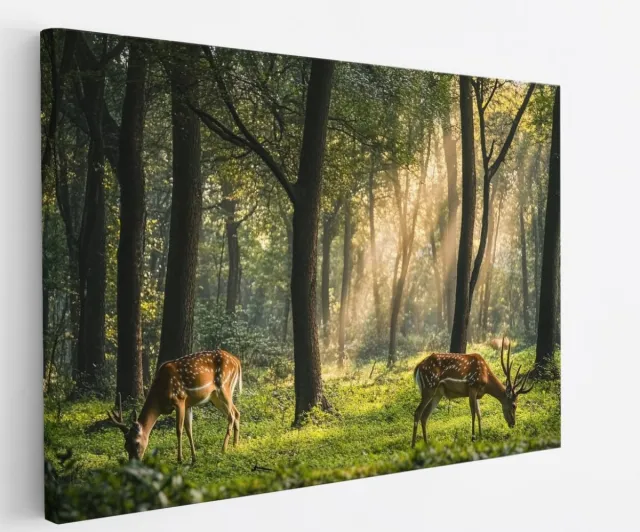 Saammp Canvas Schilderij - Hertjes in het bos - Natuur - Dieren - 90x60 - Foto op canvas - Wanddecoratie - Muurdecoratie Woonkamer - Slaapkamer decoratie - Canvas Print Multicolor