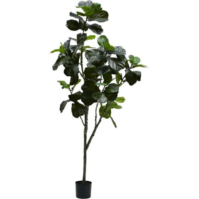 Silk-ka Kunstplant - Ficus - Groen - H230 cm