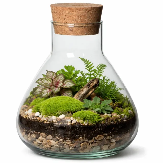 Atmosphera Vaas Terrarium - rond - met kurk - glas - Dia 22.5 x Hoogte 24 cm - transparant - gerecycled glas - met kurk deksel