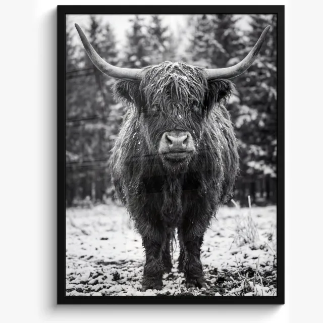 FrameYourWall Poster in lijst - Fotolijst 50x70 cm - Posters - Schotse hooglander - Zwart - Wit - Sneeuwvlokken - Posterlijst zwart - Decoratie - Wanddecoratie woonkamer - Muurdecoratie slaapkamer