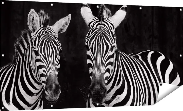Gards Tuinposter Twee Zebra's - Zwart Wit - 160x80 cm - Tuindoek - Tuindecoratie - Wanddecoratie buiten - Tuinschilderij Multikleur