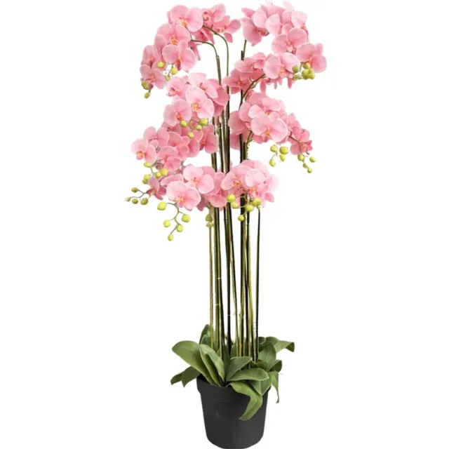 Oosterik Home Orchidee new pink in pot H 160 cm kunstplant Oosterik Home onbekend