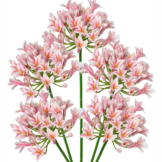 Unyqoos Set van 5 Roze Sierlelies van 75 cm voor Decoratieve Bloemstukken