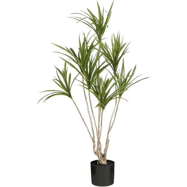Mica Decorations kunstplant Dracaena Groen