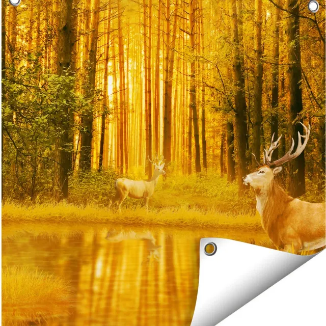 Gards Tuinposter Twee Herten in het Bos bij het Water - 50x50 cm - Tuindoek - Tuindecoratie - Wanddecoratie buiten - Tuinschilderij Multikleur