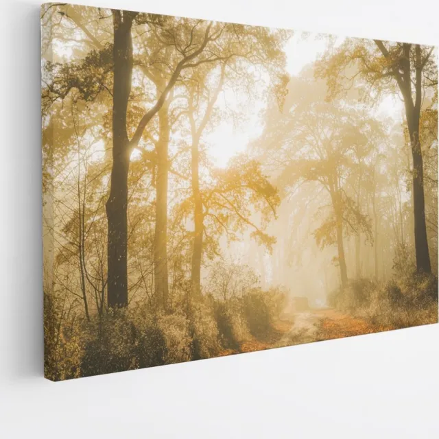 Saammp Canvas Schilderij - Lichtval tussen de Bomen - Landschap - Natuur - 40x30 - Foto op canvas - Wanddecoratie - Muurdecoratie Woonkamer - Slaapkamer decoratie - Canvas Print Multicolor