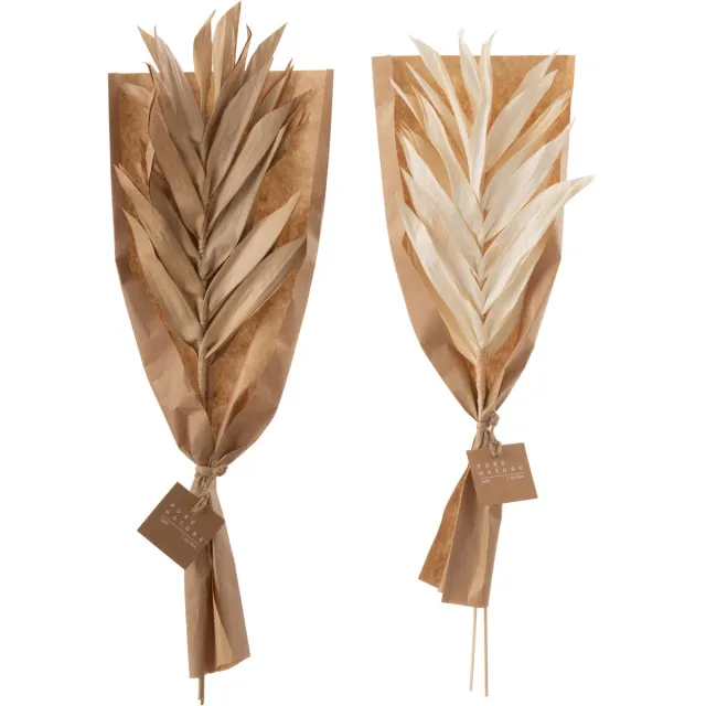 J-Line droogbloemen - Gedroogde Bladeren 2 Stukken - naturel - small - 2 stuks