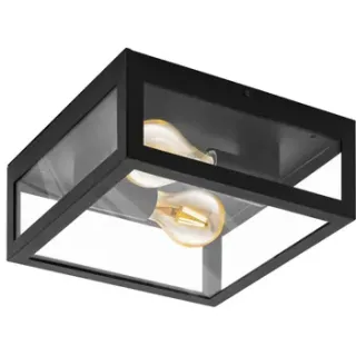 Eglo Plafondlamp Amezola Zwart 2xe27