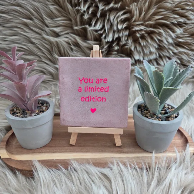 CreaCraft Robuust Wenstegeltje "You Are a Limited Edition" – Tegeltjes met tekst - Cadeau voor Vriendin, Zus of Collega – Afscheid - Pensioen – Incl Standaard – Cadeau - CreaCraft Robuust lichtroze/Fel roze