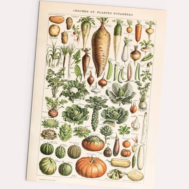 Follygraph Vintage Poster Legumes & Potageres Adolphe Millot A2 (42x60cm)