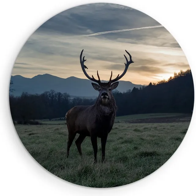 Saammp Muurcirkel Hout - Hert - Zonsondergang - Natuur - Dieren - Ø 80 - Wandcirkel - Wanddecoratie Cirkel - Muurdecoratie Woonkamer - Slaapkamer decoratie - Rond Schilderij
