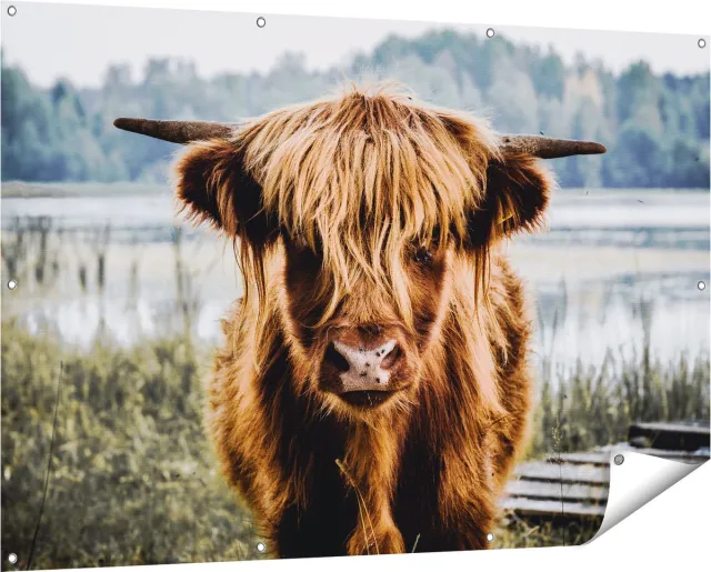 Gards Tuinposter Schotse Hooglander Koeienkop bij een Meer - 150x100 cm - Tuindoek - Tuindecoratie - Wanddecoratie buiten - Tuinschilderij Multikleur