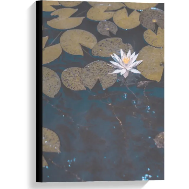 KuijsFotoprint Canvas - Waterlelies - 40x60cm Foto op Canvas Schilderij (Wanddecoratie op Canvas) Blauw