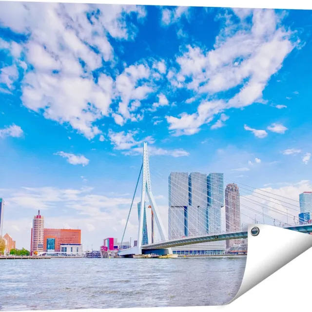 Gards Tuinposter Erasmusbrug aan het Water in Rotterdam - 80x60 cm - Tuindoek - Tuindecoratie - Wanddecoratie buiten - Tuinschilderij Multikleur