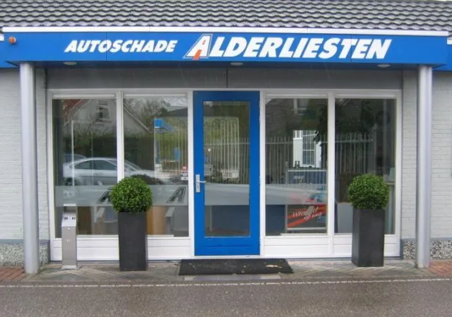 maxifleur Kunstplanten Buxus bol deluxe kunstplant 50cm Groen