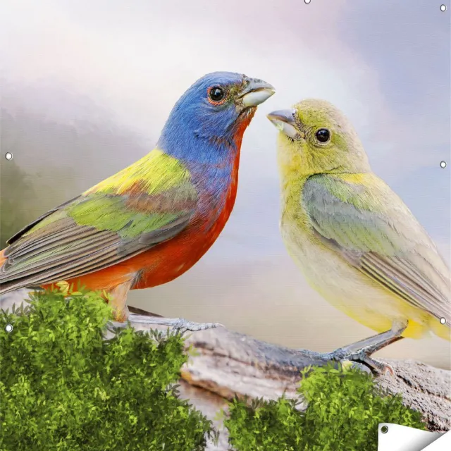 Gards Tuinposter Getekende Gorzen Vogels - Kleur - Abstract - 120x120 cm - Tuindoek - Tuindecoratie - Wanddecoratie buiten - Tuinschilderij Multikleur