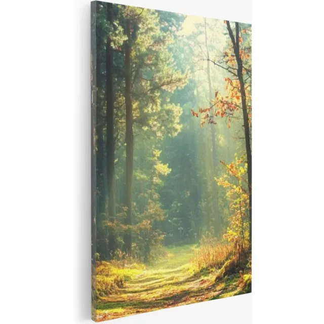 Saammp Canvas Schilderij - Botanisch - Bos - Herfstachtig - Landschap - Natuur - 30x45 - Foto op canvas - Wanddecoratie - Muurdecoratie Woonkamer - Slaapkamer decoratie - Canvas Print Multicolor