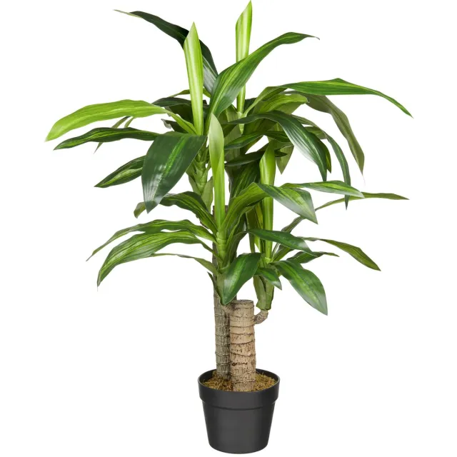 HTT Decorations Kunstplant Dracaena Fragans H90cm - HTT Decorations kunstplanten Groen