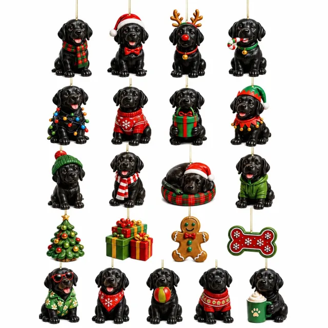 SWGOTA Adventskalender met zwarte labradors - 24 platte acryl kersthangers in geschenkdoos