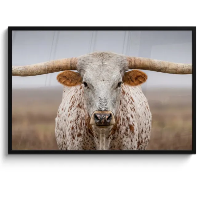 FrameYourWall Poster in lijst - Fotolijst 120x80 cm - Posters - Longhorn - Grasveld - Dier - Posterlijst zwart - Decoratie - Wanddecoratie woonkamer - Muurdecoratie slaapkamer